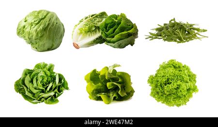 Eine Reihe verschiedener Salate. Ausgeschnittene Salate auf weißem Hintergrund. Eisberg, Romaine, Curly Salat, Rucola isoliert auf weiß. Stockfoto