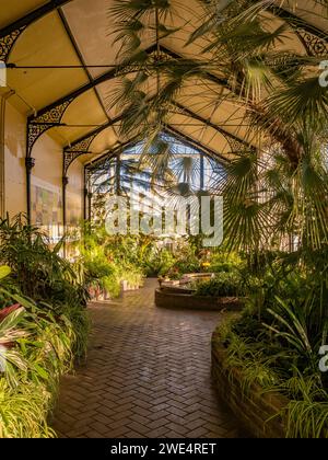 Das Innere des Conservatory in den Pavilion Gardens in Buxton. Derbyshire. UK Stockfoto