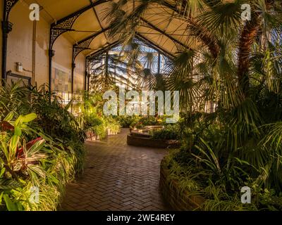 Das Innere des Conservatory in den Pavilion Gardens in Buxton. Derbyshire. UK Stockfoto