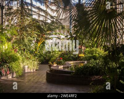 Das Innere des Conservatory in den Pavilion Gardens in Buxton. Derbyshire. UK Stockfoto