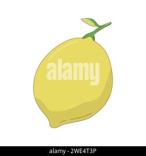 Hand gezeichnete Zitronen-Frucht-Vektor-Illustration. Kreatives, handgezeichnetes Frucht-Vektorelement Stock Vektor