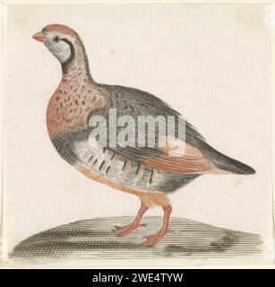 Veldhoen, Anonym, 1688 - 1698 Print Niederlande Papiergravur Walker and Runner Birds: partridge Stockfoto