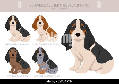 Schweizerischer Niederlaufhund, kleiner schweizer Hundelhund Clipart. Alle Lackfarben festgelegt. Infografik zu den Merkmalen aller Hunderassen. Vektorabbildung Stock Vektor