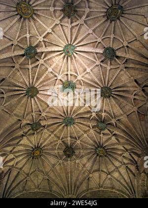 Lissabon, Portugal. Kunstvolle gotische Decke der Kirche des Jeronimos-Klosters oder Hieronymites-Abbey alias Santa Maria de Belem-Kloster. UNESCO World Stockfoto