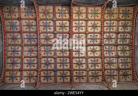 Großbritannien, Wales, Pembrokeshire, St Davids Cathedral, Holzdecke Stockfoto