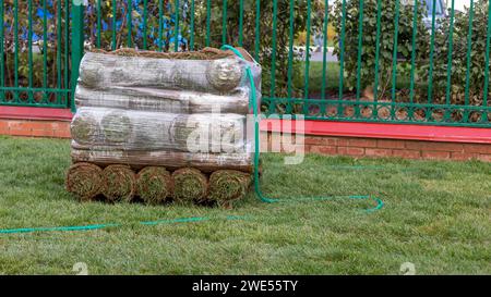 Gestapelte Rollen frischer Soden, bereit für das Anlegen auf einem landschaftlich gestalteten Rasen, mit einem Gartenschlauch in der Nähe Stockfoto