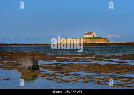 Eglwys Cwyfan ist eine denkmalgeschützte mittelalterliche Kirche in Llangadwaladr. Es liegt auf der kleinen Gezeiteninsel Cribinau Stockfoto