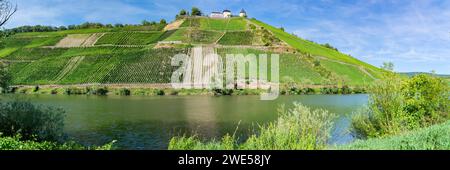 Weinberg Pündericher Marienburg, Weinberge, Moseltal, Rheinland-Pfalz, Deutschland, Europa Stockfoto