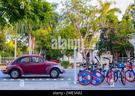 Stadtfahrräder und Volkswagen Käfer am Paseo Montejo, Merida Mexiko Stockfoto
