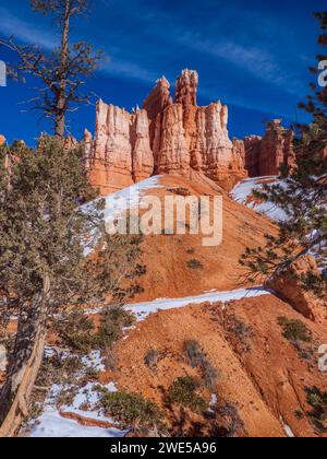 Bryce Amphitheater vom Queen's Garden Trail, Winter, Bryce Canyon National Park, Utah. Stockfoto