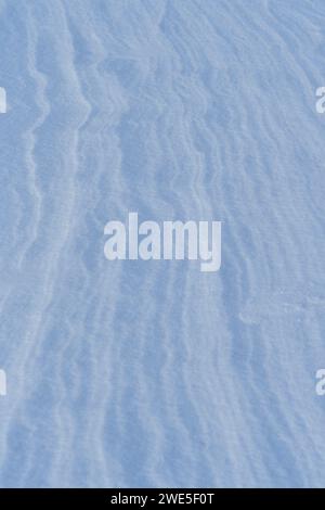 Schnee nach dem Wind bildet eine weiße Leinwand aus wirbelnden Mustern. Leicht, funkelnd, mit Eiskristallen. Eine einzigartige natürliche Textur und die Ruhe des Th Stockfoto