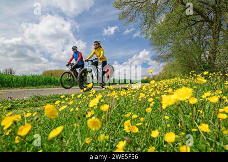 Mann und Frau Radfahren mit Blumenwiese im Vordergrund, Radweg auf dem Cher, Schlösser der Loire, Loiretal, UNESCO-Weltkulturerbe Loiretal, F Stockfoto