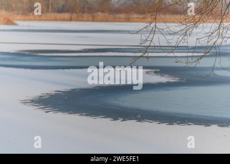 Überflutete Wiese im Winter gefroren. Bas-Rhin, Elsass, Grand Est, Frankreich, Europa. Stockfoto