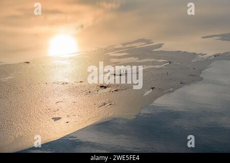 Überflutete Wiese im Winter gefroren. Bas-Rhin, Elsass, Grand Est, Frankreich, Europa. Stockfoto