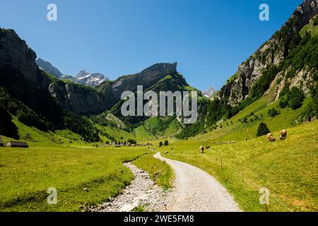 Steile Berge und See, Seealpsee, Wasserauen, Alpstein, Appenzeller Alpen, Kanton Appenzell Innerrhoden, Schweiz Stockfoto