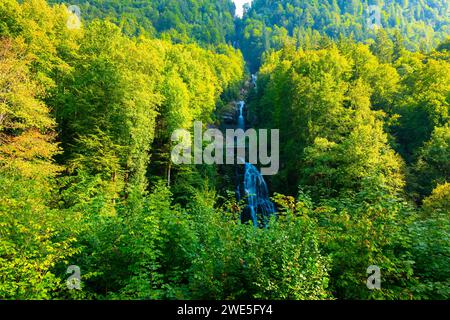 Der Giessbach-Wasserfall auf der Bergseite in Brienz, Kanton Bern, Schweiz. Stockfoto