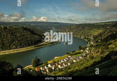 Blick über Weinberge bis zum Rheinbogen bei St. Goarshausen-Wellmich und Burg Maus, Oberes Mittelrheintal, Rheinland-Pfalz, Deutschland Stockfoto