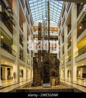 Versteinerter Wald von Chemnitz im Kulturkaufhaus DAStietz, Chemnitz, Sachsen Stockfoto