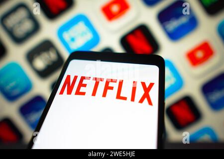 Brasilien. Januar 2024. In dieser Abbildung wird das Netflix-Logo auf einem Smartphone-Bildschirm angezeigt. (Foto von Rafael Henrique/SOPA Images/SIPA USA) *** ausschließlich für redaktionelle Nachrichten *** Credit: SIPA USA/Alamy Live News Stockfoto