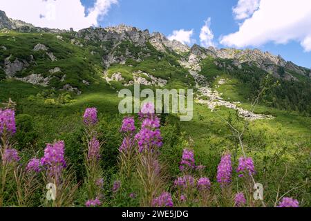 Bergkette der Mała Buczynowa Turnia auf dem Wanderweg zum Tal der fünf polnischen Teiche (Dolina Pięciu Stawów Polskich) und Morskie Oko Stockfoto