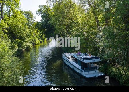 Aus der Vogelperspektive eines Hausbootes Le Boat Horizon 4, das am Ufer eines Kanals entlang der Themse, Cookham, nahe Maidenhead, Berkshire, England, verankert ist. Vereinigen Stockfoto