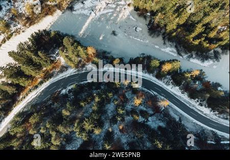 Direkt über dem Kopf Blick auf die kurvenreiche Straße durch den Herbstwald Stockfoto