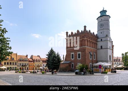 Rynek mit Rathaus (Ratusz) in Sandomierz in der Woiwodschaft Podkarpackie in Polen Stockfoto