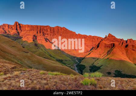 Alpenglow im Drakensberg mit Spaltspitze und Pyramide, Orgelpfeifen Pass, Didima, Cathedral Peak, Drakensberg, KWA Zulu Natal, UNESCO Weltheld Stockfoto