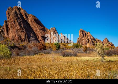 Herbstfarben im Roxborough State Park in Colorado vor roten Felsen und blauem Himmel Stockfoto