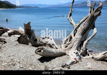 Menschen in Icmeler Beach in Dilek Peninsula National Park, Türkei Stockfoto