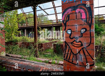 Verfallenes Winter Gardens Glasshouse in Springburn Park Glasgow, Schottland, 1983 aufgegeben. Stockfoto