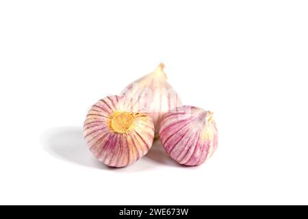 Solo-Knoblauch auf weißem Hintergrund Stockfoto