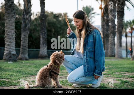 Glückliche junge Frau, die Stock hält und sich in der Nähe des Pudelhundes im Park hockt Stockfoto