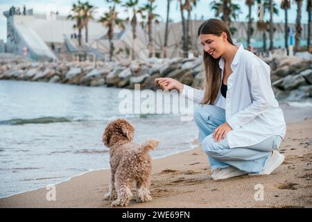 Lächelnde Frau, die sich hockt und mit Pudelhund am Strand spielt Stockfoto