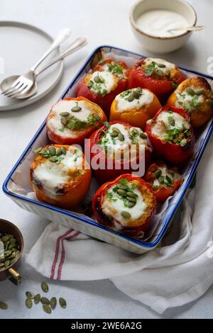 Paprika gefüllt mit Bulgur Stockfoto