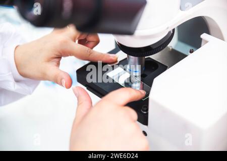 Hände des Mikrobiologen, der die Probe im Mikroskop positioniert Stockfoto