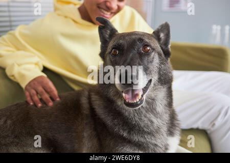 Hund mit Frau, die in der Klinik auf Sofa sitzt Stockfoto
