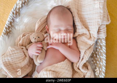 Niedlicher Junge, der mit Kuschelspielzeug im Korb schläft Stockfoto