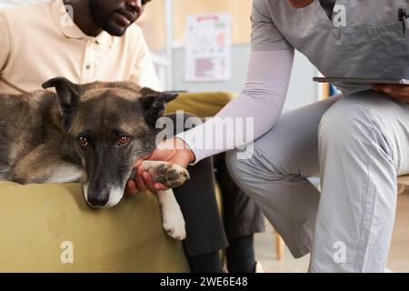 Mann mit Tierarzt, der die Hundepfote in der Klinik hält Stockfoto