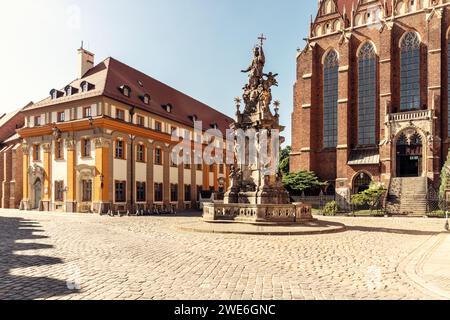 Polen, Woiwodschaft Niederschlesien, Breslau, Johannes-von-Nepomuk-Statue vor der Stiftskirche des Heiligen Kreuzes und St. Bartholomäus Stockfoto