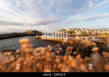 Fischerdorf in Tapia de Casariego, Asturien, Spanien Stockfoto