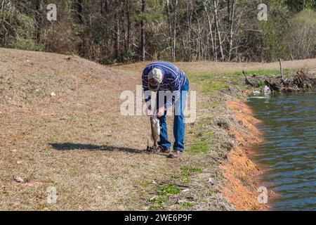 Ein älterer Mann, der den Haken von Fischen entfernt, die in einem privaten See auf einem ländlichen Grundstück in der Nähe von Hattiesburg, Mississippi gefangen wurden Stockfoto