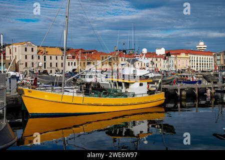 Fischerboote und alte Lagerhäuser an der Küste von Hobart in Tasmanien Stockfoto