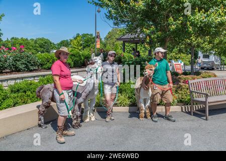 Tiere begrüßen Besucher vor dem Creation Museum in Petersburg, Kentucky Stockfoto