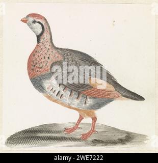 Veldhoen, Anonym, 1688 - 1698 Print Niederlande Papiergravur Walker and Runner Birds: partridge Stockfoto