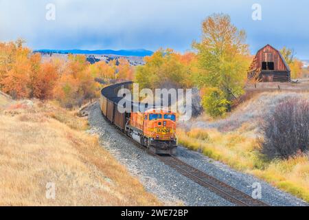 Zug, der im Herbst an einer alten Scheune in jens, montana, vorbeifährt Stockfoto