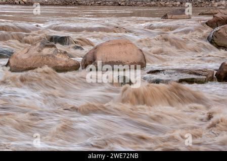 Big Drop #3 (alias Satan's Darm) am Colorado River, Cataract Canyon, Utah. Stockfoto