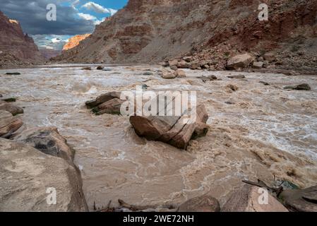 Big Drop #3 (alias Satan's Darm) am Colorado River, Cataract Canyon, Utah. Stockfoto