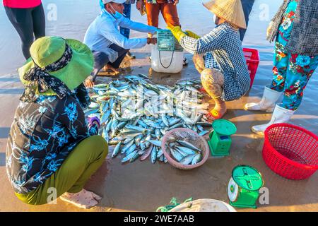 Fischmarkt Session Seeszene Menschen versammelten sich im Korb Fischverkauf, anstrengende Ruderfischer brachten an Land Fischerdorf in Phan Thiet Stockfoto