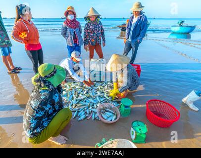 Fischmarkt Session Seeszene Menschen versammelten sich im Korb Fischverkauf, anstrengende Ruderfischer brachten an Land Fischerdorf in Phan Thiet Stockfoto